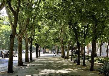 Lisbon, Safe and Secure, Av Liberdade